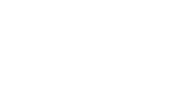 EFG Consulting