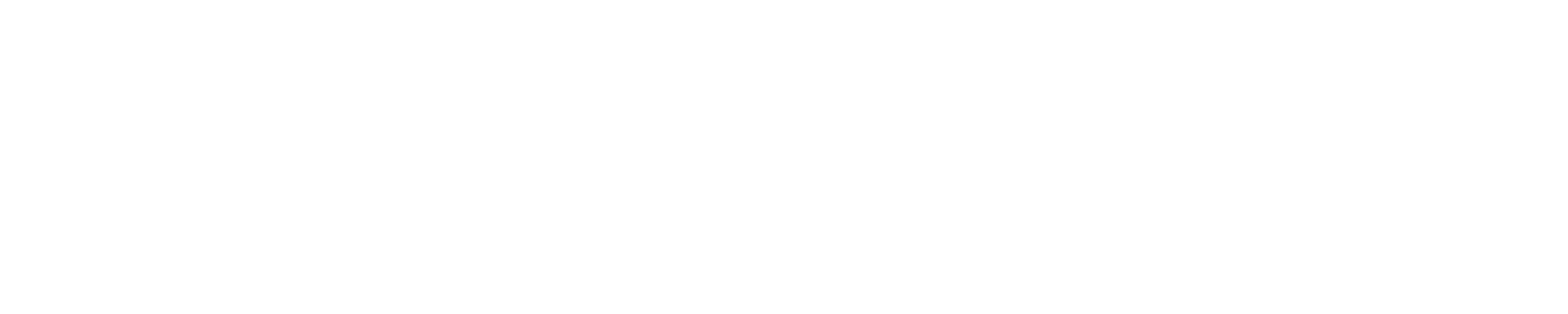 SkyKapital