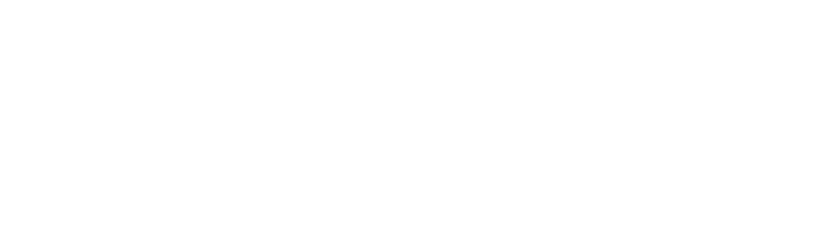 NTT-Data